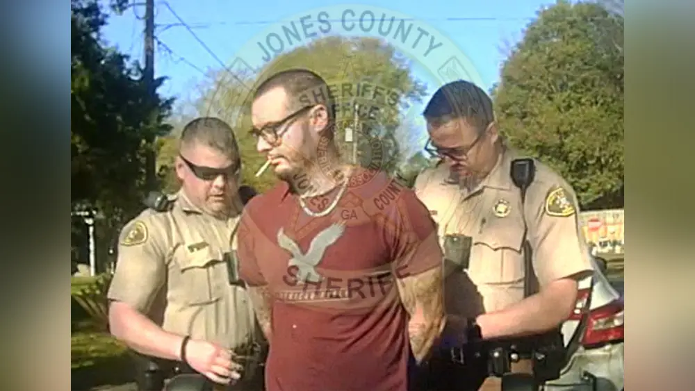 puppy-struck-6943285c825b9971420