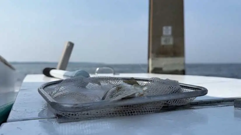 screenshot-2025-12-24-165911-694c624219d73806889