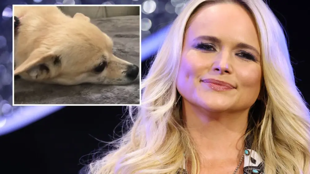 attachment-untitled-design-227