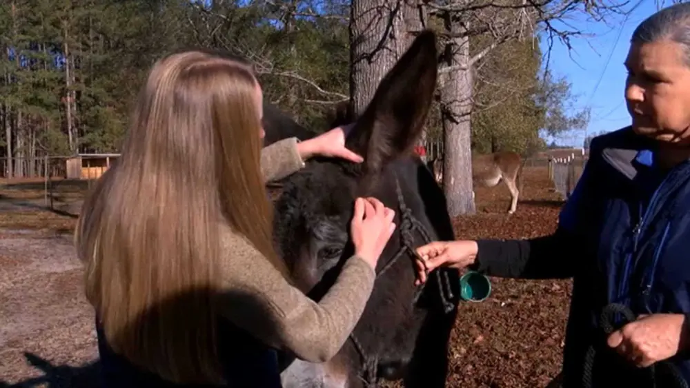 thumb_1920x1080-0000001-57