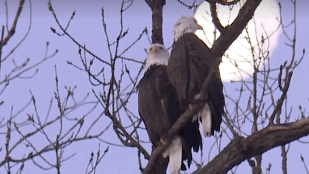 screenshot-2026-01-10-at-6-30-24-am-69623857d3b96623290