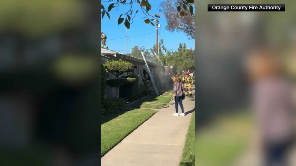 thumb_1920x1080-0000001-65