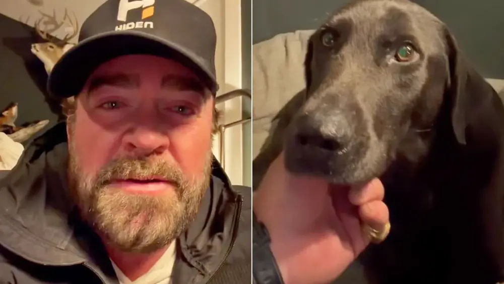 attachment-lee-brice-dog-found