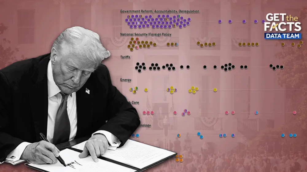 trump-1st-year-696fbb24493de788990