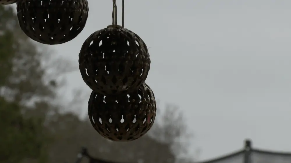 web-697695e49bb95785825