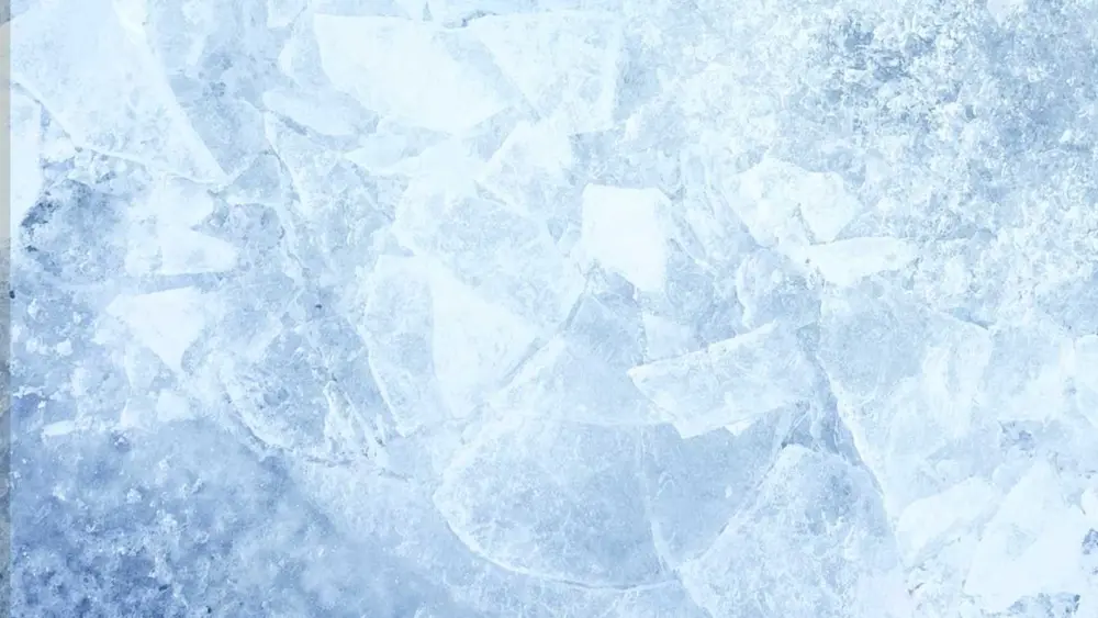 3390524-wyff-ice-1-696fd96ee68a4728452