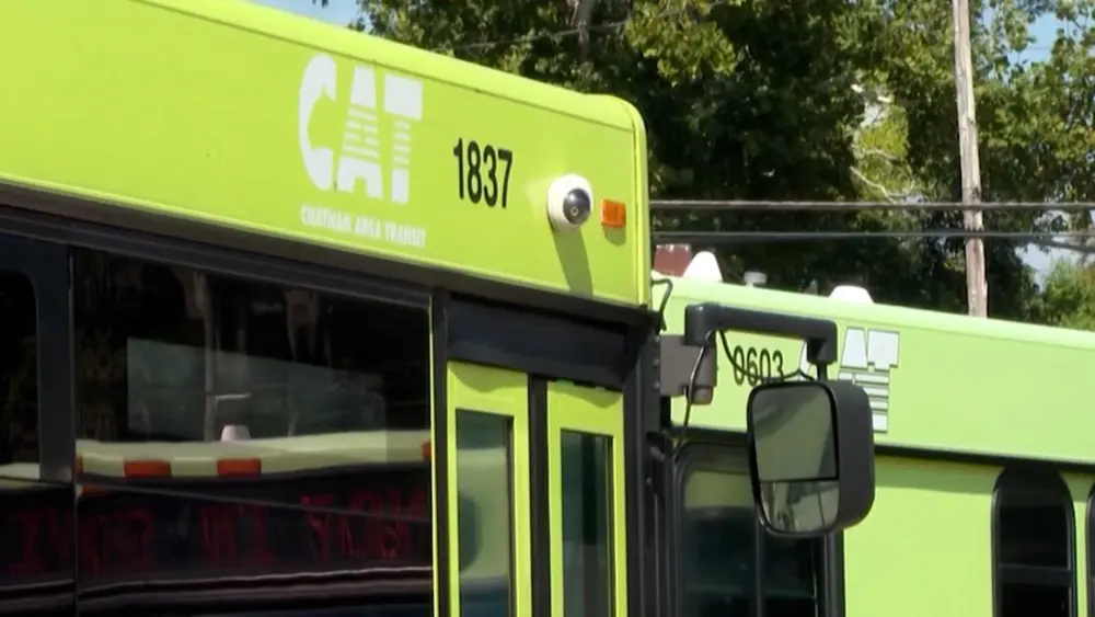 cat-bus-6850cc5cbc2fc698262