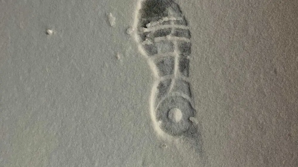 snowy-footprint-lee-s-summit-697a41cb324b1787525