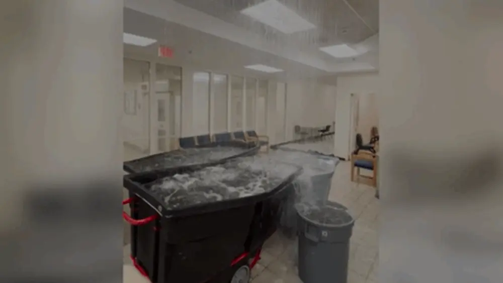 screenshot-2026-02-01-072021-697f451035e2210135