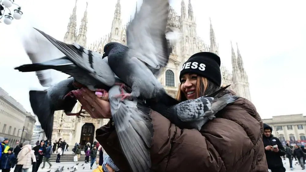 gettyimages-2254812658-6980b03e95a23950105