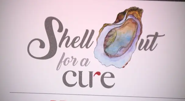 shell-out-69845c100dfa8233060