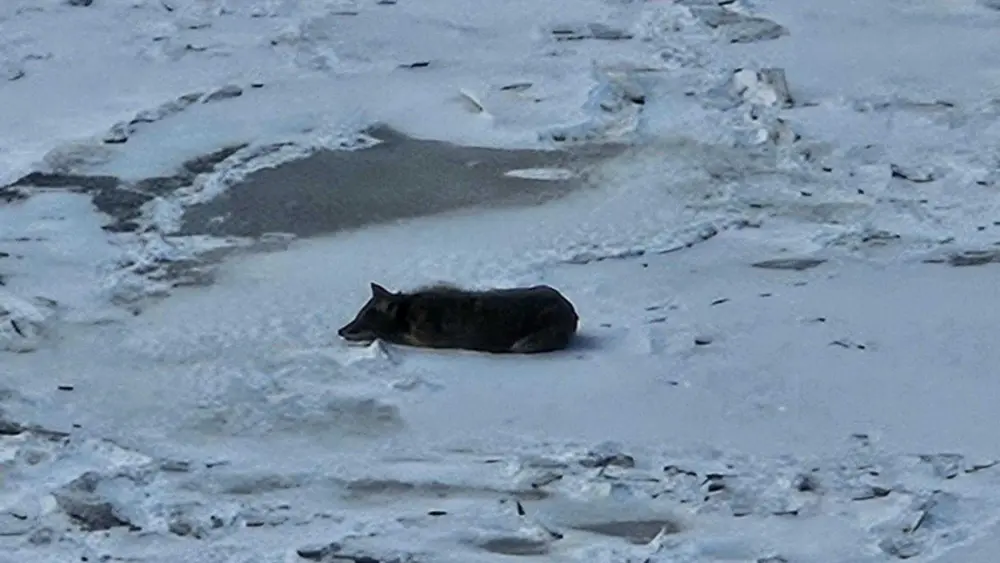 631281554-1333693275453751-6472480035977873083-n-6988f0e7ab211