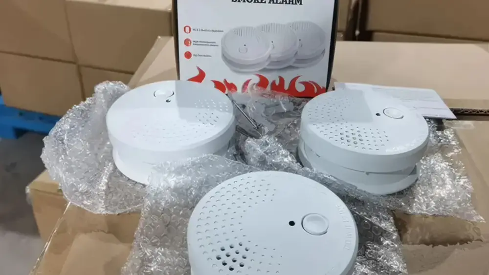 attachment-untitled-design-2026-02-16t070344-849