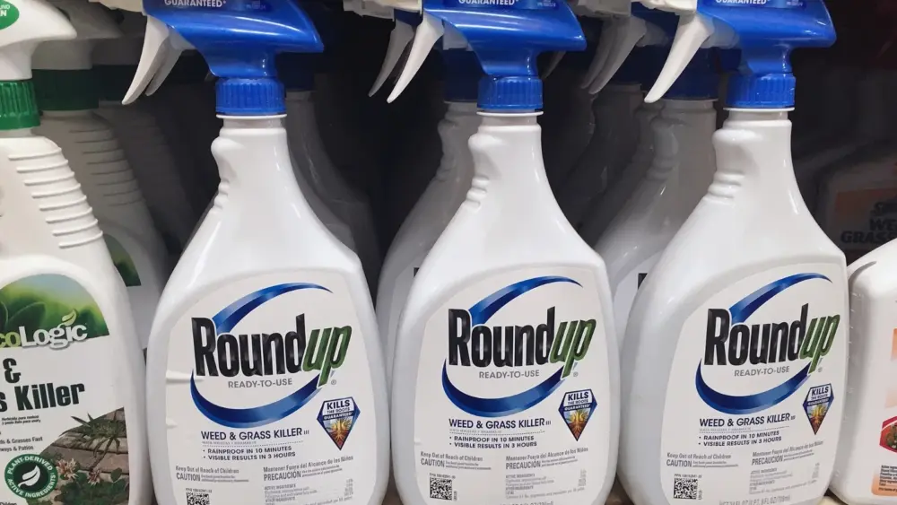 attachment-untitled-design-2026-02-20t060157-137