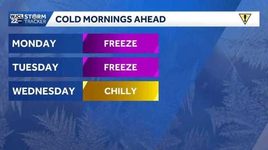 capture-jpg-699a6ac648bff