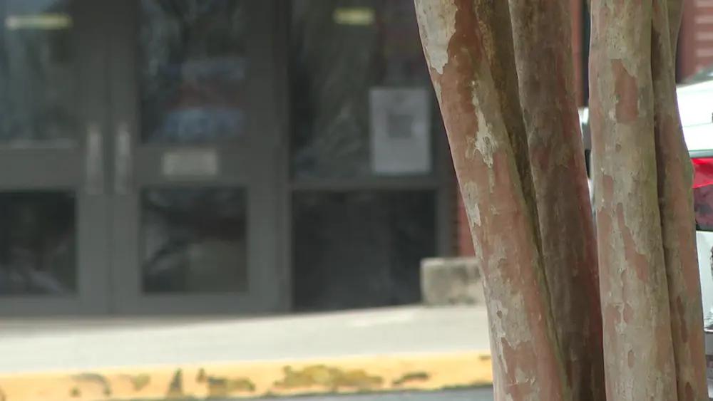 georgia-could-be-first-state-to-mandate-school-weapons-detectors-69a22242bc323500552