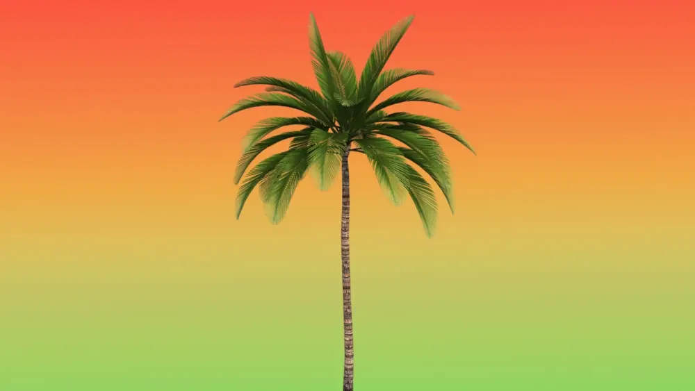 attachment-untitled-design-2026-03-02t074412-711