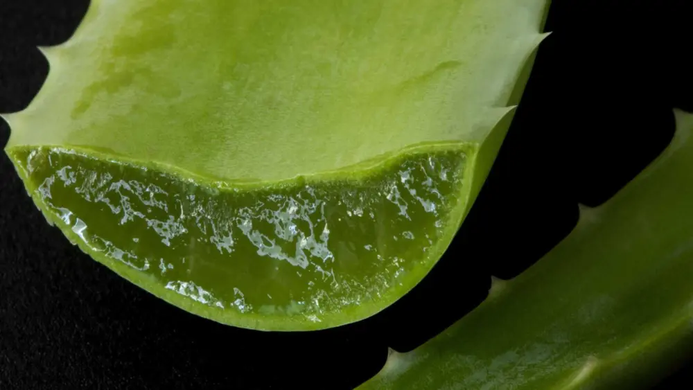 cnn-l19jb21wb25lbnrzl2ltywdll2luc3rhbmnlcy9jbw05amsynmkwmdfzm2i2cnvlmwrjngk0-l19jb21wb25lbnrzl2fydgljbguvaw5zdgfuy2vzl2ntbtlqoxyyndawnhqynnfzzdv1cmrxn2c-jpg-69a72e7c334ee689236