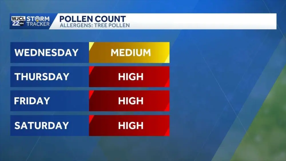 pollen-69a7726d21a7d