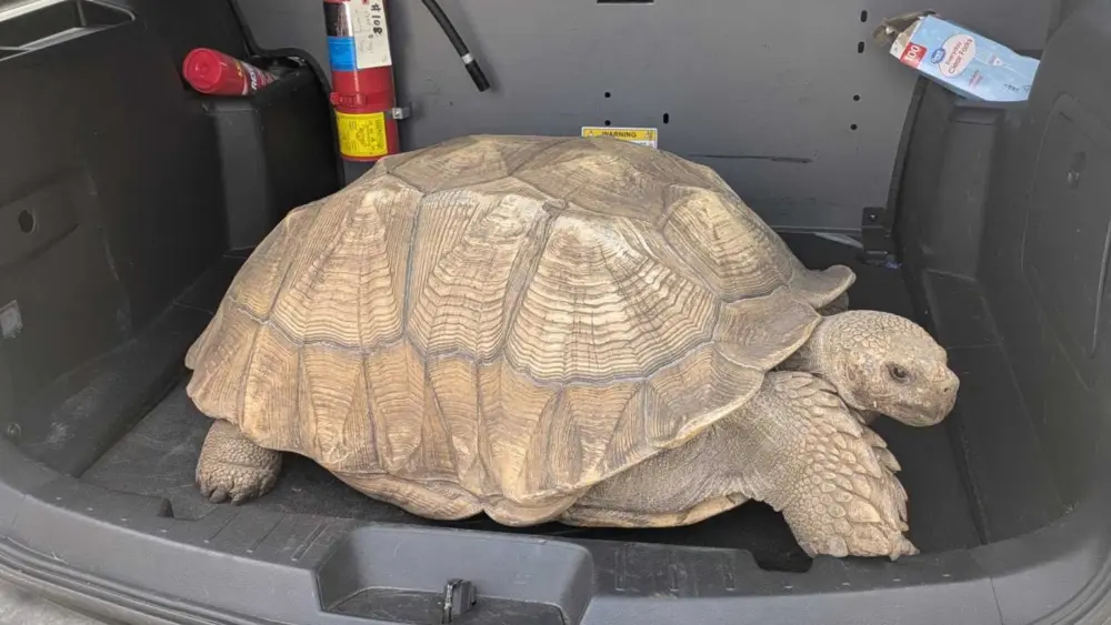 646752107-1267164598844910-5622704062882683809-n-69ae337799897123600