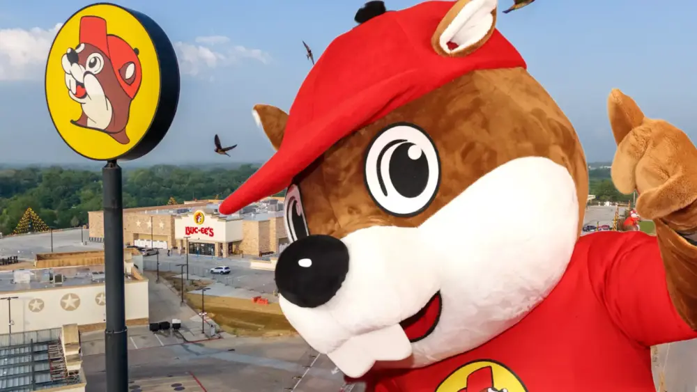 attachment-toc-site-promoinside-8-12