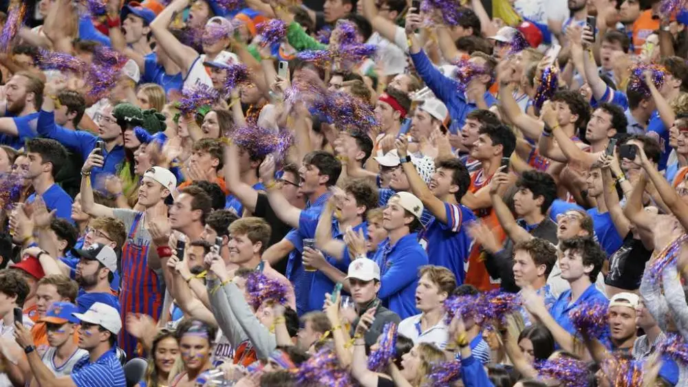 crowd-69b7699c4e541543014