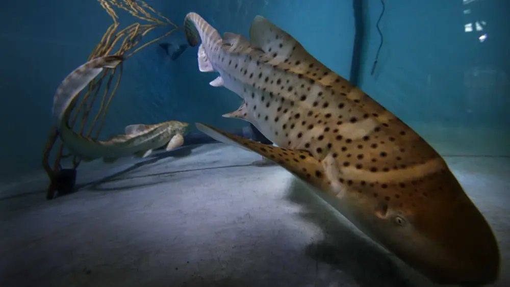 gettyimages-462766348-69bad58b1b1606914