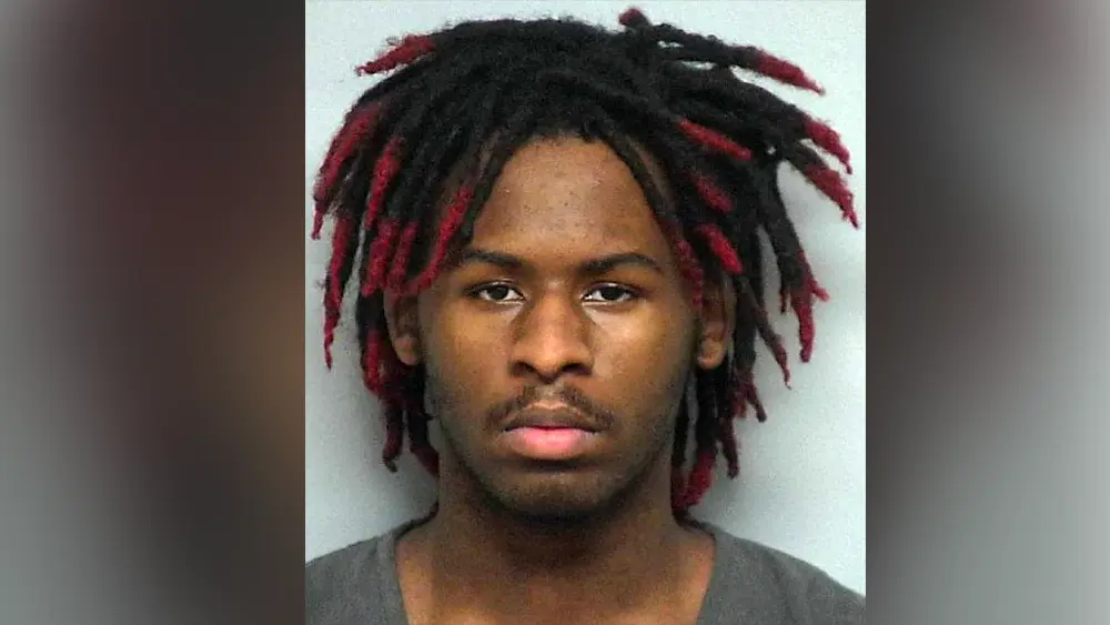 mcgee-ashton-69c596969d1a7441177