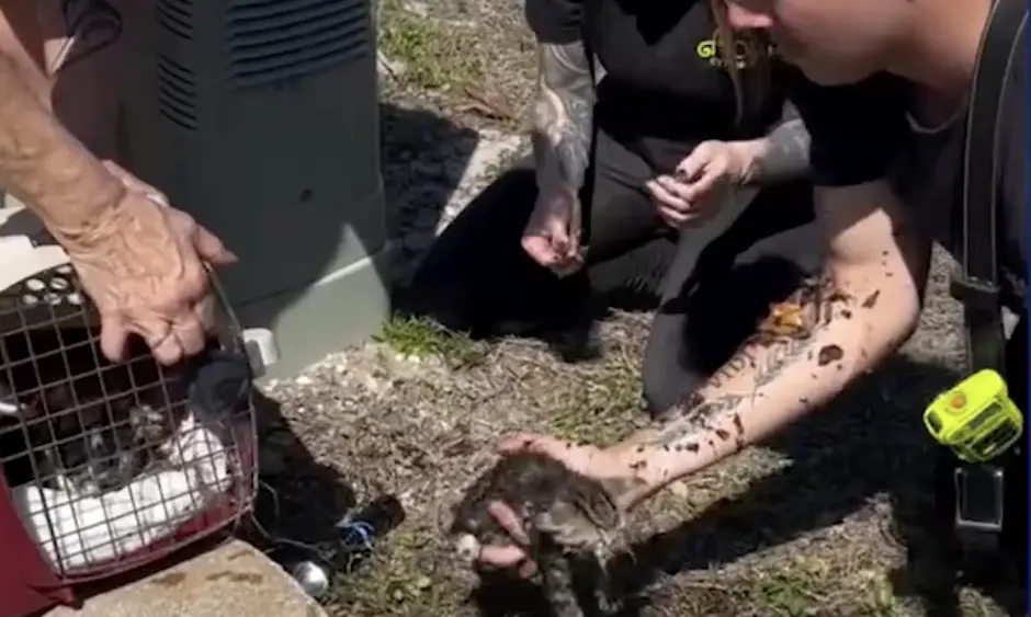 screenshot-2026-03-30-at-12-25-34-pm-69caa4026ac00713047