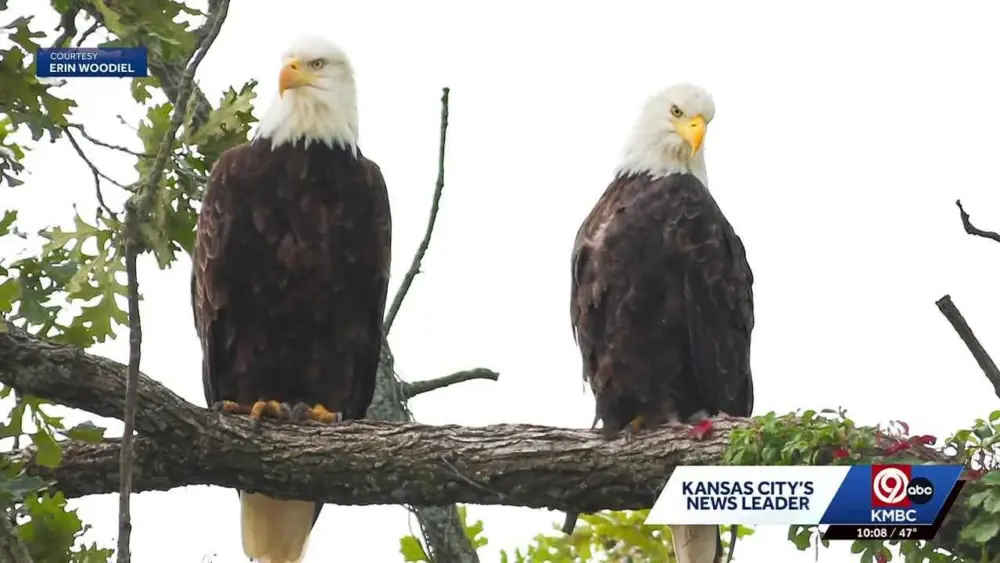 b34a7839-14de-4244-b644-2fe68ba0ade0239578