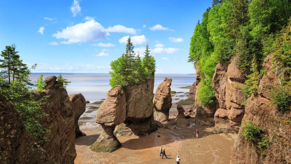 cnn-l19jb21wb25lbnrzl2ltywdll2luc3rhbmnlcy9jbw45mgdhbjiwmdi3mzu2cwvwzju5ndrl-l19jb21wb25lbnrzl2fydgljbguvaw5zdgfuy2vzl2ntbju1y2w4ntawmnkynnfnm3c2owjtbmu-jpg-69cd3bc307cc6233699