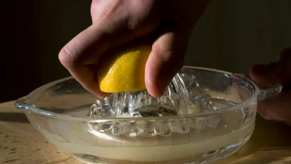 lemons-69ce4f4ed860b