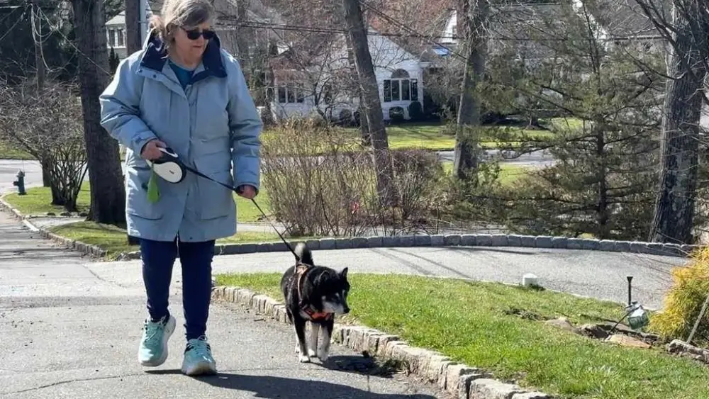 seniors-69cf44f2f3947