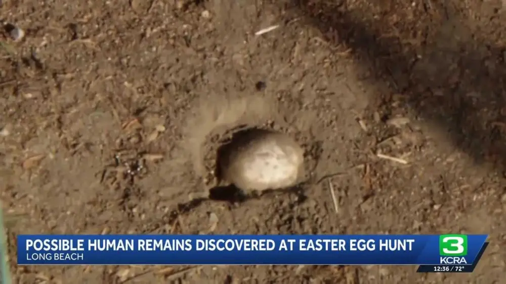 4ac390af-1ecf-4ec4-b7b9-e30796126e3b281915