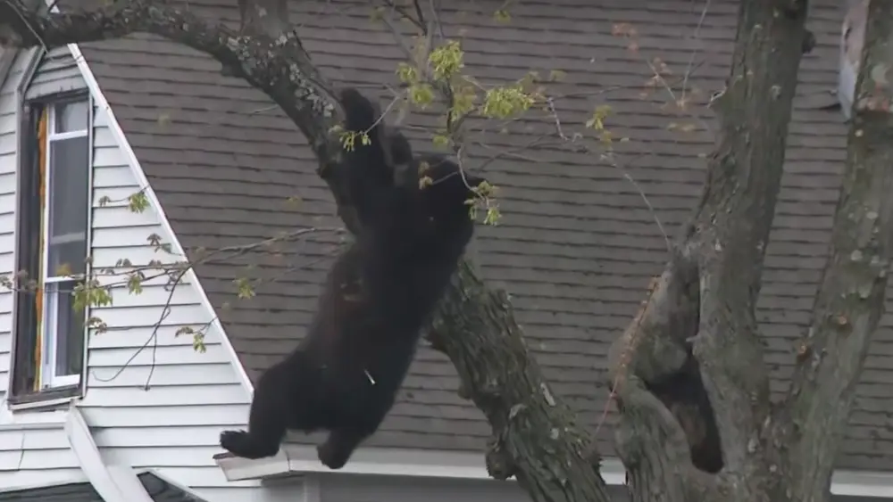 c40e5847-6984-4a38-9b95-16982cf4702e223162