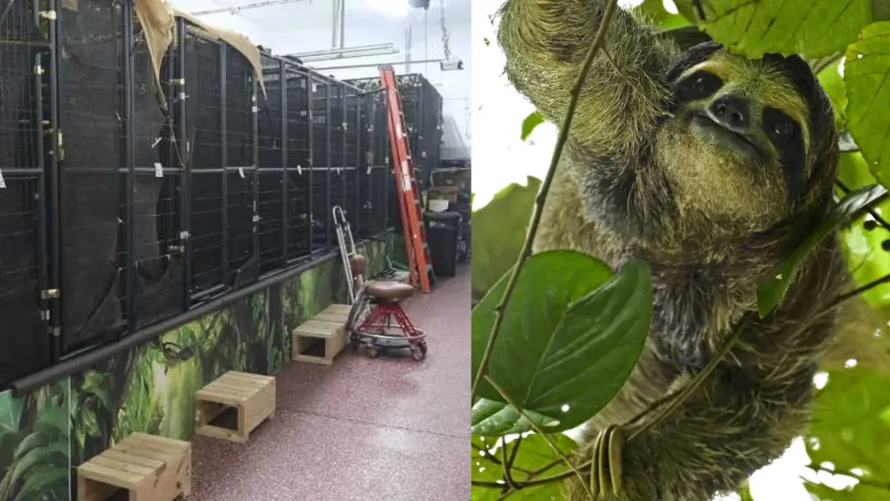 c39c1d44-7b9d-45ee-99a8-4cf5350237f0