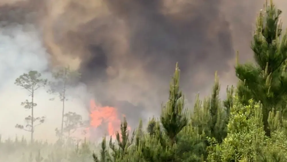 c70370db-4b40-4c9e-9fa3-282fec18de3b632666