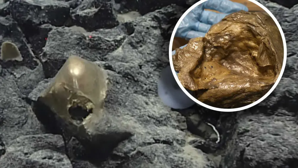 8bb8481f-2bdf-482b-9e4e-7d9efaeb47c0