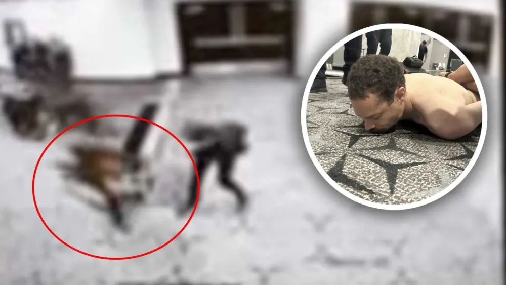 8a800944-b155-47a9-9443-61d2bdda8c21246637