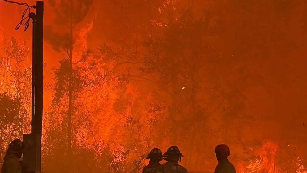 bda43527-19b2-476c-a801-f5bc33f13264491297