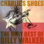 Charlie's Shoes