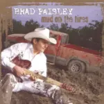Whiskey Lullaby