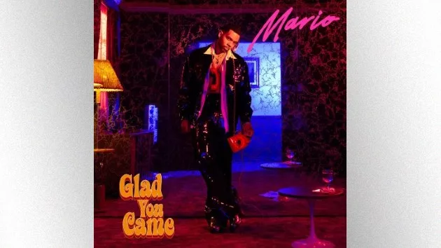 m_mariogladyoucameartwork_102424942451