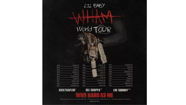 m_lilbabywhamtour_21825377931