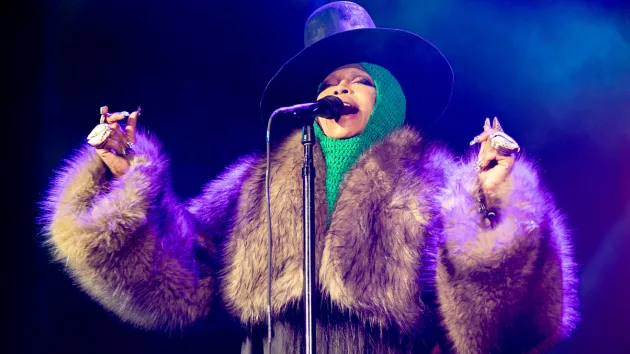 getty_erykahbadu_31925205509