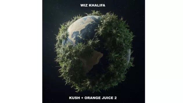 m_wizkoj2_42525378065