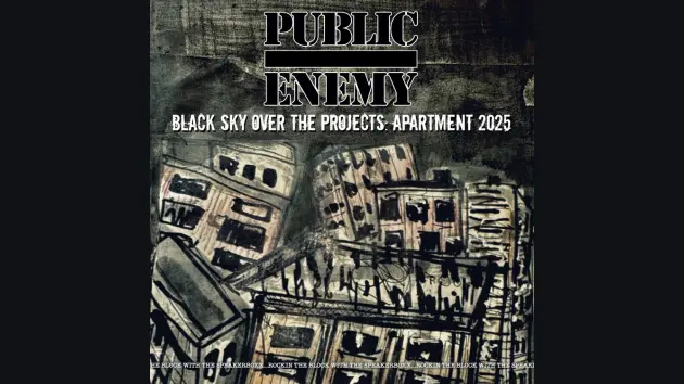 m_publicenemyartwork_102925738153