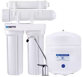 Watts Filtration System