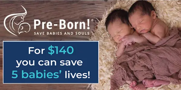 pre-born-600-300-2