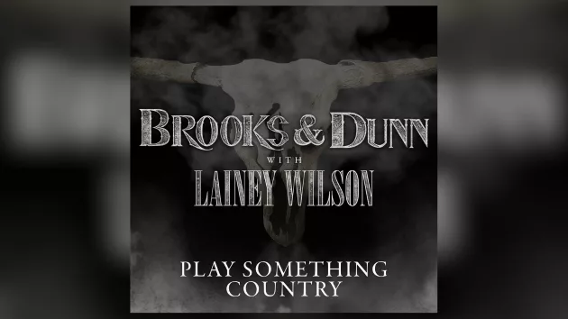 m_brooksanddunnlaineywilsonplaysomethingcountrysonymusicnashville47923